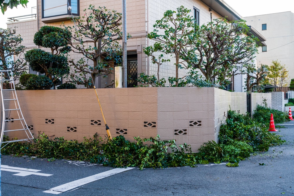 庭木の伐採・抜根を業者に頼む前に！費用相場や注意点まとめ