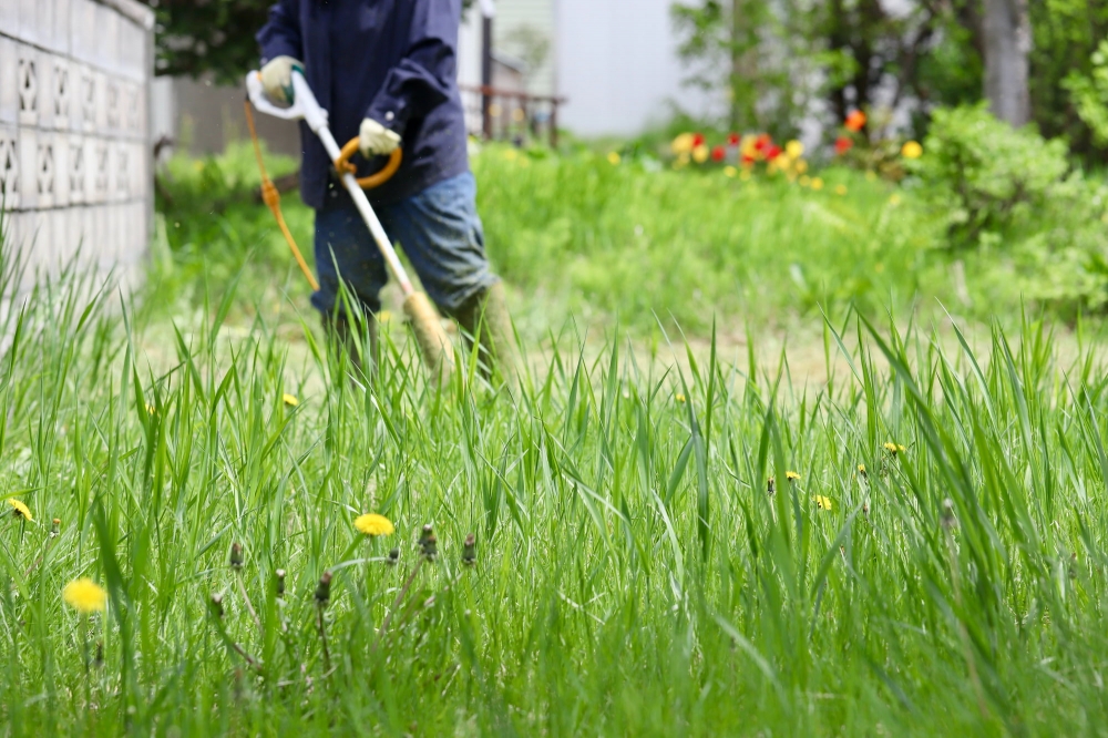 岡山市の草刈り・伐採、庭木剪定・処分はやくだち隊にお任せ