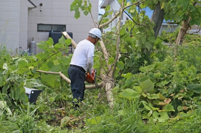 岡山の庭木伐採はプロにお任せ！