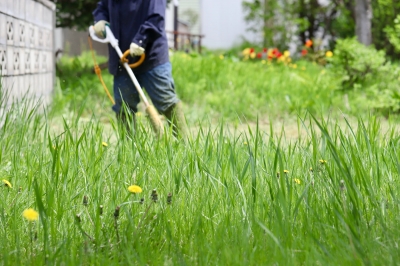 岡山市の草刈り・伐採、庭木剪定・処分はやくだち隊にお任せ